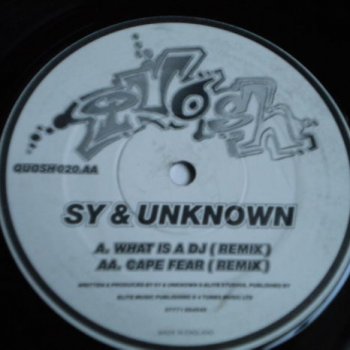 Sy & Unknown What Is a DJ (remix)