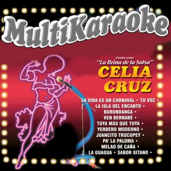 Multi Karaoke La Vida Es Un Carnaval