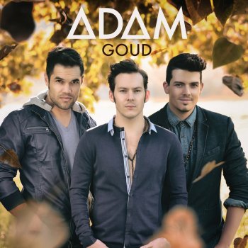 ADAM Goud