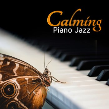 Calming Piano Music Collection Music for Relaxation