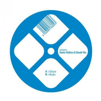 Dario Nunez,David Vio Budu (Original Mix)
