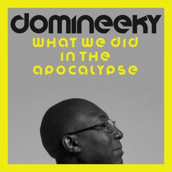 Domineeky feat. Tru Roots Project Good Love