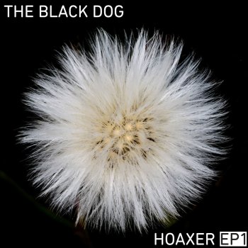 The Black Dog Who He Was (FE RMX)