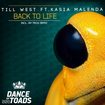 Till West feat. Kasia Malenda Back To Life - Instrumental Mix