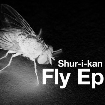 Shur-I-Kan Afrodisiac Intro