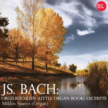 Miklós Spányi feat. Johann Sebastian Bach Orgelbüchlein (Little Organ Book), BWV 610: Christmas - Jesu, meine Freude