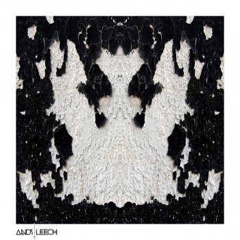 Andy Leech Eternal