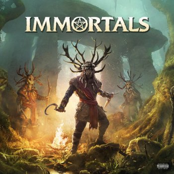 Mr Traumatik feat. NamaShaiYoga Immortals