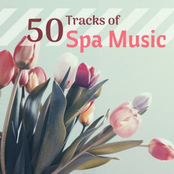 Spa Music Collective Healing