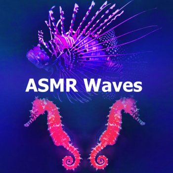 Wavesand Emerald Oceanography