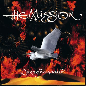 The Mission Amelia