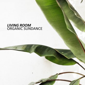 Living Room Organic Sundance - Ambient Dub