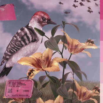 Michael Minelli feat. Johnny 2 Phones Birds & Bees