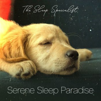 The Sleep Specialist Therapy Sleepers