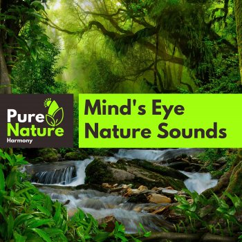 Nature Field Recordings Tree Shaded Distant Waterfall