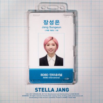 Stella Jang Vanishing Paycheck