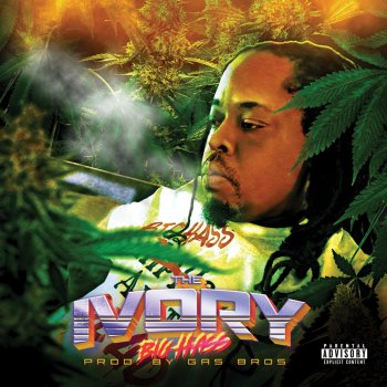 Big Hass The Mission (feat. Cherish D)