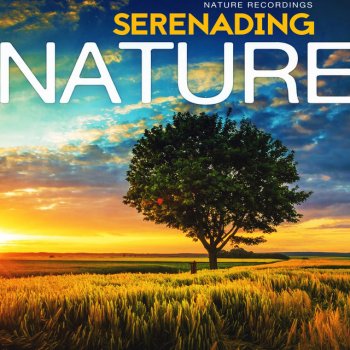 Nature Recordings Rainforest Ecosystem
