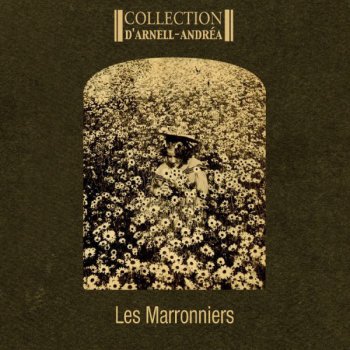 Collection d'Arnell-Andrea Les Marronniers