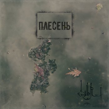 Исполнитель SVBRI, альбом Плесень