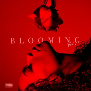 Kodie Shane NOT TONIGHT