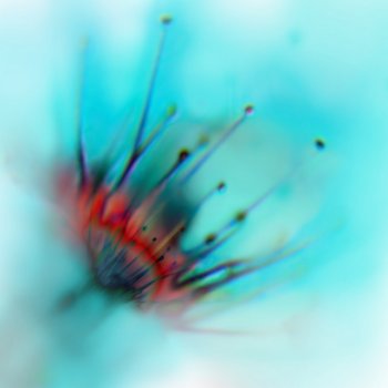 Исполнитель Ben Crosland, альбом Earthbound (Solo Piano Version)