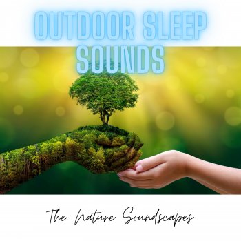 The Nature Soundscapes Rain for Days