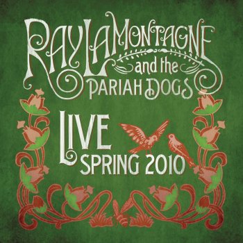 Ray LaMontagne Trouble - Live From Avatar Studios