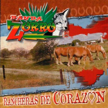 Banda Zorro Toro Barroso