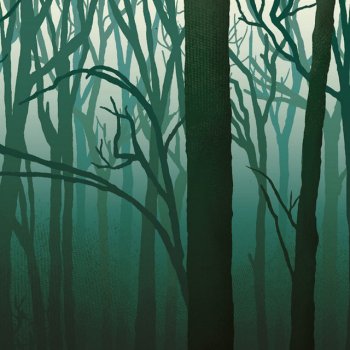 My Name Is Nobody A Silence - Live