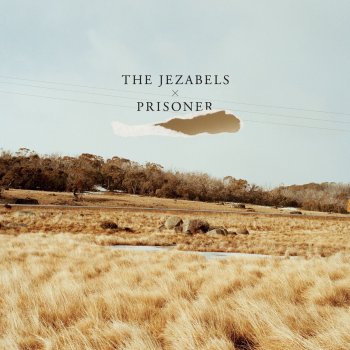 The Jezabels Rosebud
