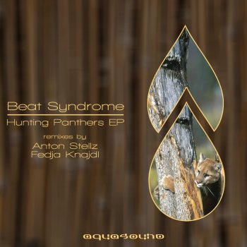 Beat Syndrome Hunting Panthers (Fedja Knajdl Remix)