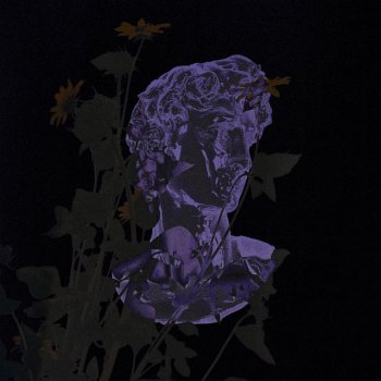 Devin Barrus feat. Dany Beck Not the Only