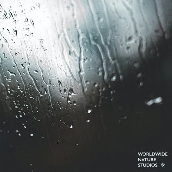 Исполнитель Worldwide Nature Studios, альбом Rain Sounds Vol. 1 - EP