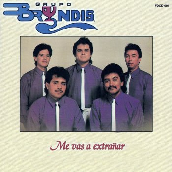 Grupo Bryndis Tu Voz y Mi Dolor