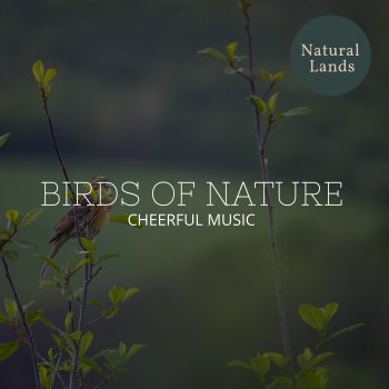 Positive Nature Music Library I Talk to Insect