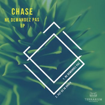 Chase Put Us In Order - Original Mix