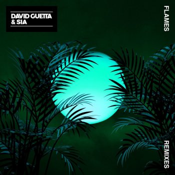 David Guetta feat. Sia Flames (Aazar Remix)