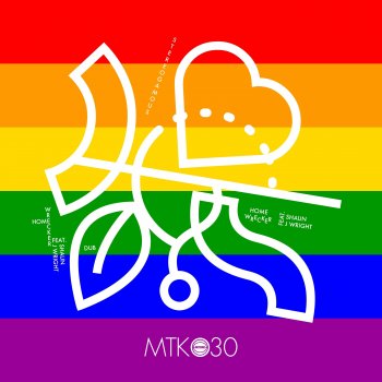 Stereogamous Homewrecker (Dub Mix) [feat. Shaun J. Wright]