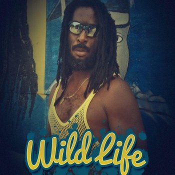 Wild Life See Mi With Di Fire