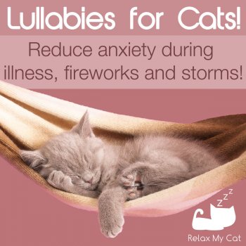 RelaxMyCat Cat Relaxation Music