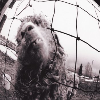 Pearl Jam Rearviewmirror