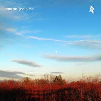 Tosca Joe Si Ha - Spirit Catcher Remix