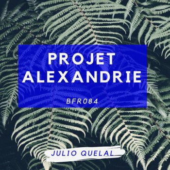 Julio Quelal Projet Alexandrie