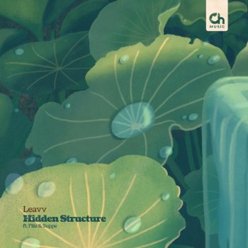 Leavv Hidden Structure