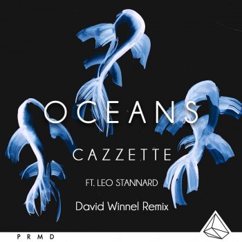 CAZZETTE, Leo Stannard & Dave Winnel Oceans - Dave Winnel Remix