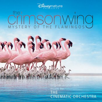 The Cinematic Orchestra & London Metropolitan Orchestra Marabou