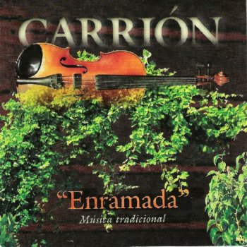 Carrion La Aceituna en el Olivo