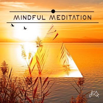 Relaxing Mindfulness Meditation Relaxation Maestro Nature Sounds (Easy Listening)