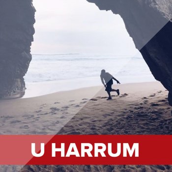 Ledri Vula U Harrum